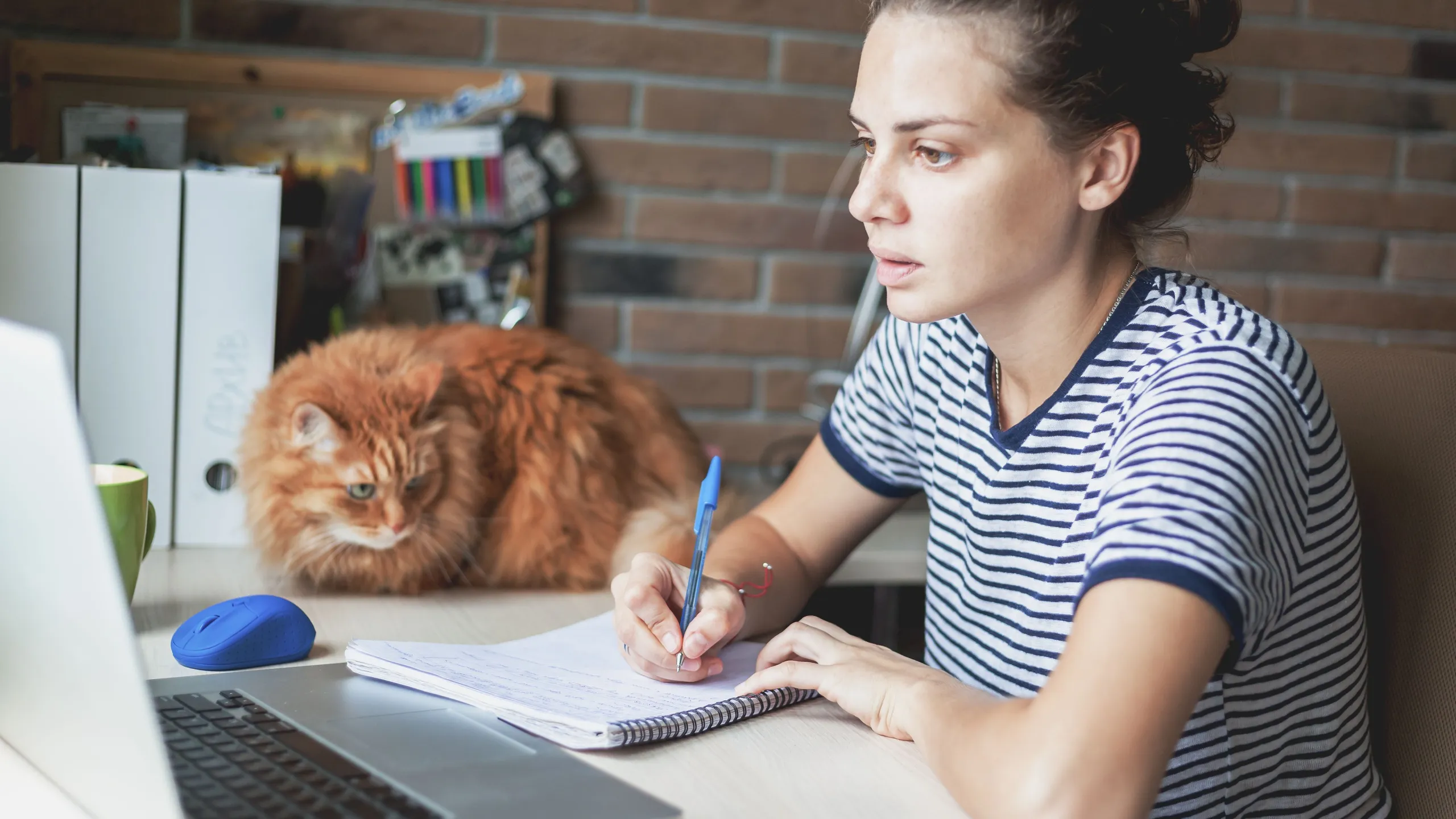 Frau schaut auf Laptop und schreibt was auf.