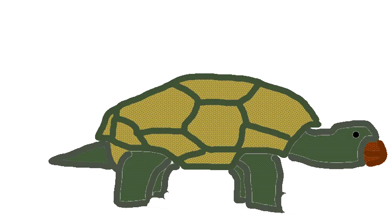 Schildkröte mit Transparenz